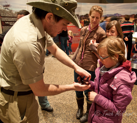 West Nova Family Events Calendar