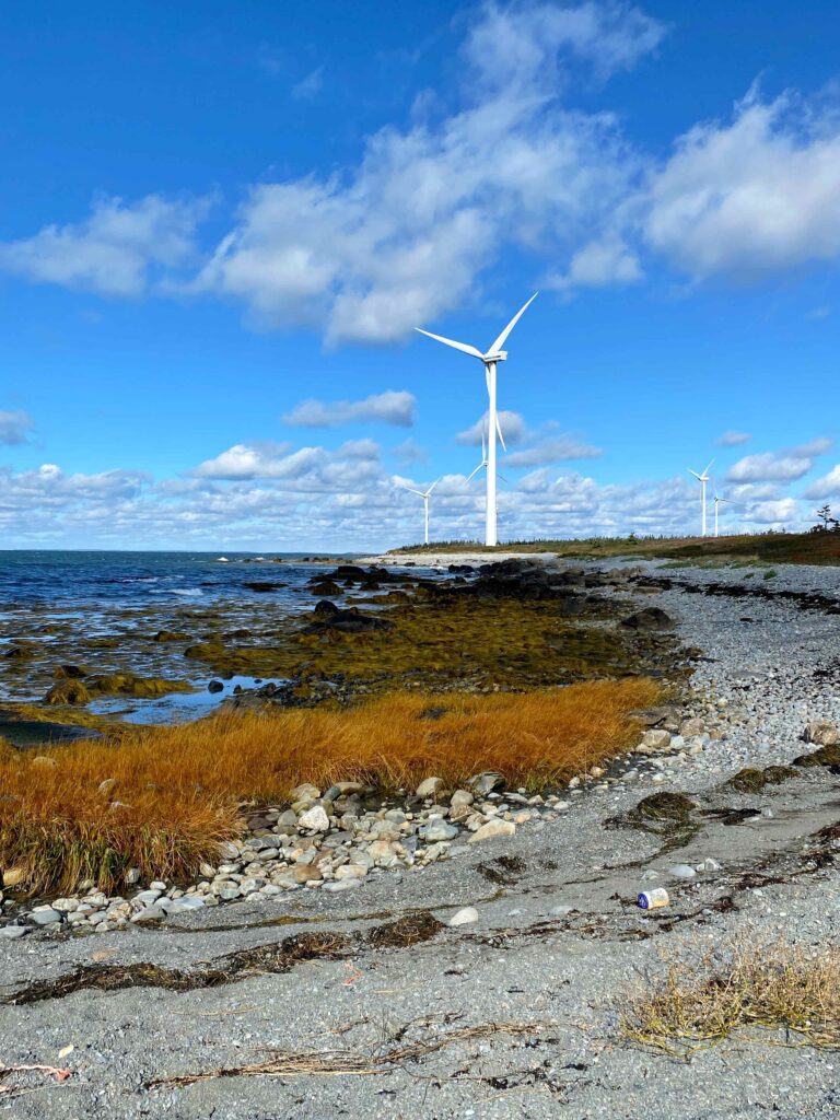 Wind turbines at Pubnico Point, Nova Scotia, along the Mi'kma'ki coastline.
Photo y Trish McCourt